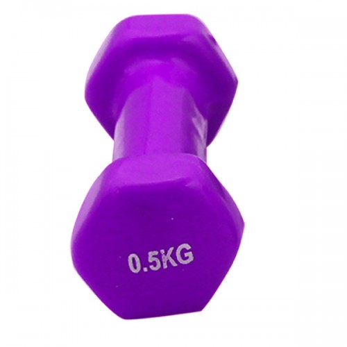  HALTERE 0,5KGS
