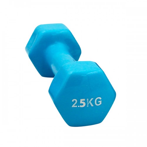  HALTERE 2,5KGS