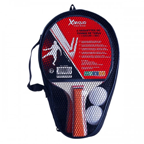  2 RAQUETTES DE PING PONG +...