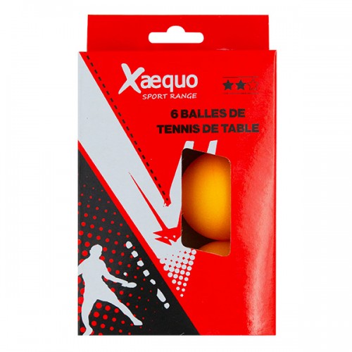  6 BALLES TENNIS DE TABLE...