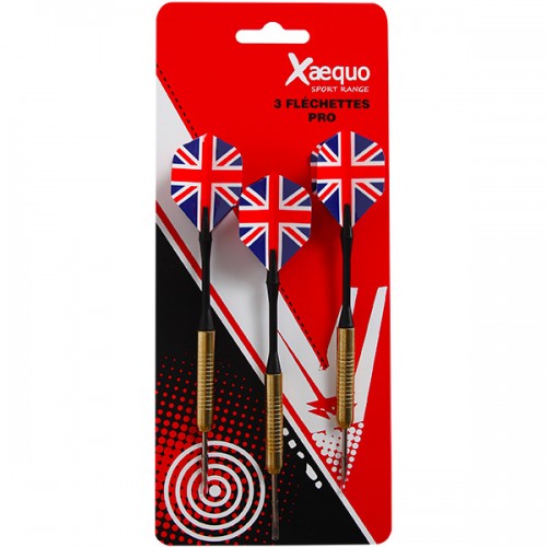  3 FLECHETTES PRO POINTE METAL