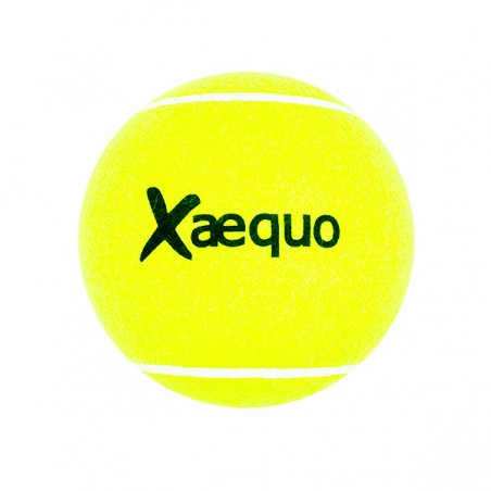  BALLE DE TENNIS GEANTE X-AEQUO