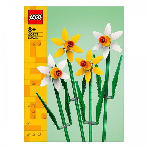  LES JONQUILLES