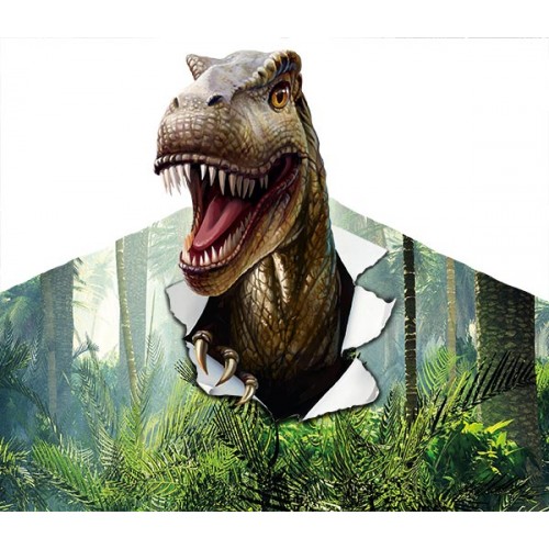  FRONTON DINOSAURE