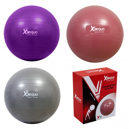  BALLON DE YOGA/PILATES D.56CM XAEQUO