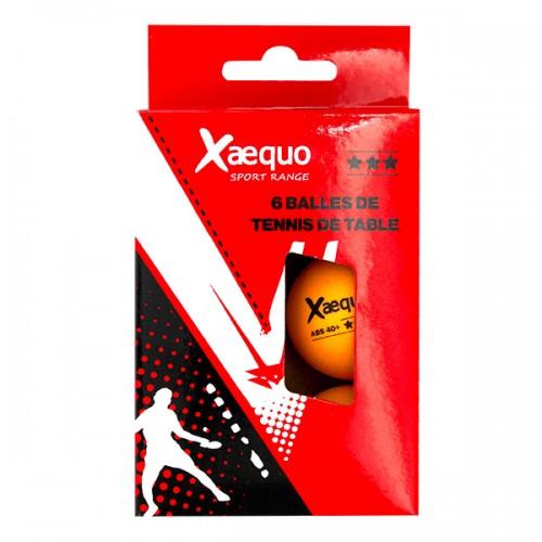  6 BALLES TENNIS DE TABLE...