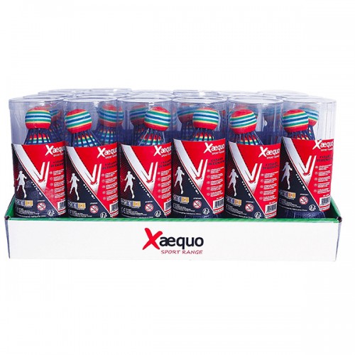 TUBE 4 VOLANTS BADMINTON...
