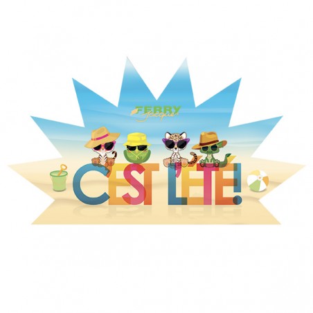  FRONTON POUR TOUR ETE