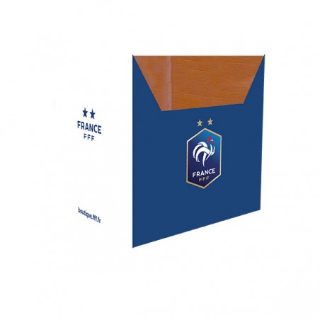  DISPLAY BODY FFF 50X40 HAUT 50