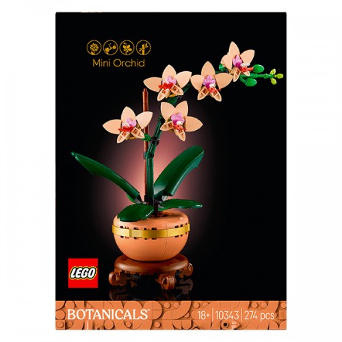  L'ORCHIDEE MINIATURE