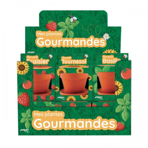  MES PLANTES GOURMANDES DB 12