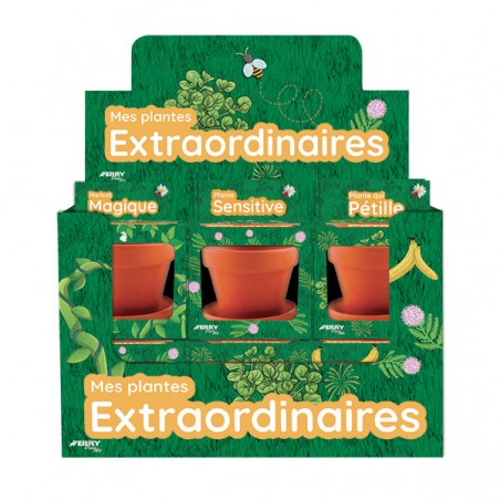  MES PLANTES EXTRAORDINAIRES DB 12