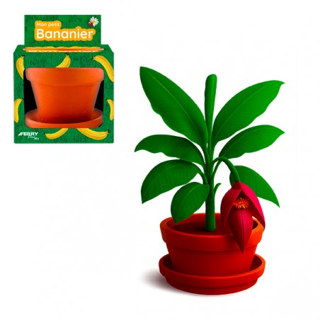  BANANIER POT 8CM