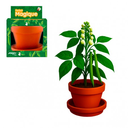  HARICOT GEANT POT 8CM