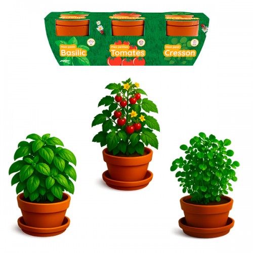  TRIO DE PLANTES GOURMANDES...