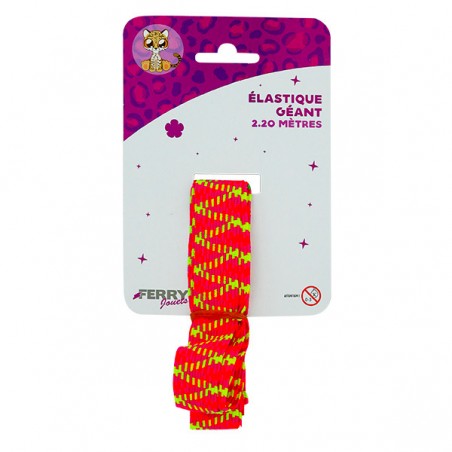  ELASTIQUE GEANT 2M