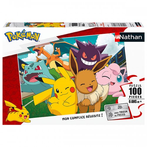  PUZZLE 100 PCS NATHAN ASST