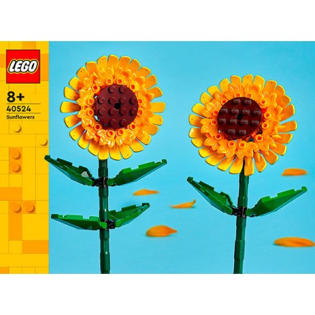  TOURNESOLS