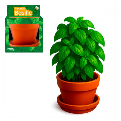  BASILIC BIO POT 8CM