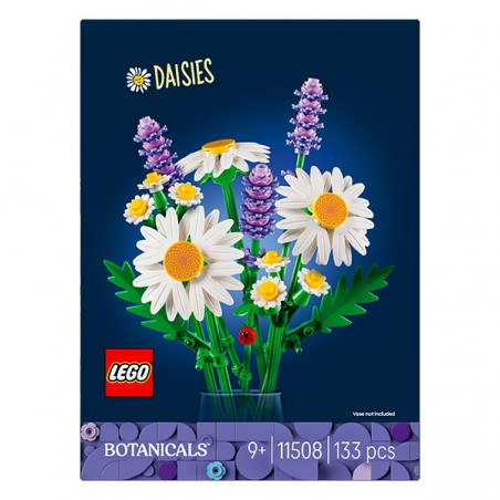  MARGUERITES ET LAVANDE