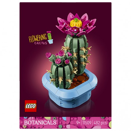  CACTUS FLEURI