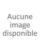 FFF 2025 - EN AVANT